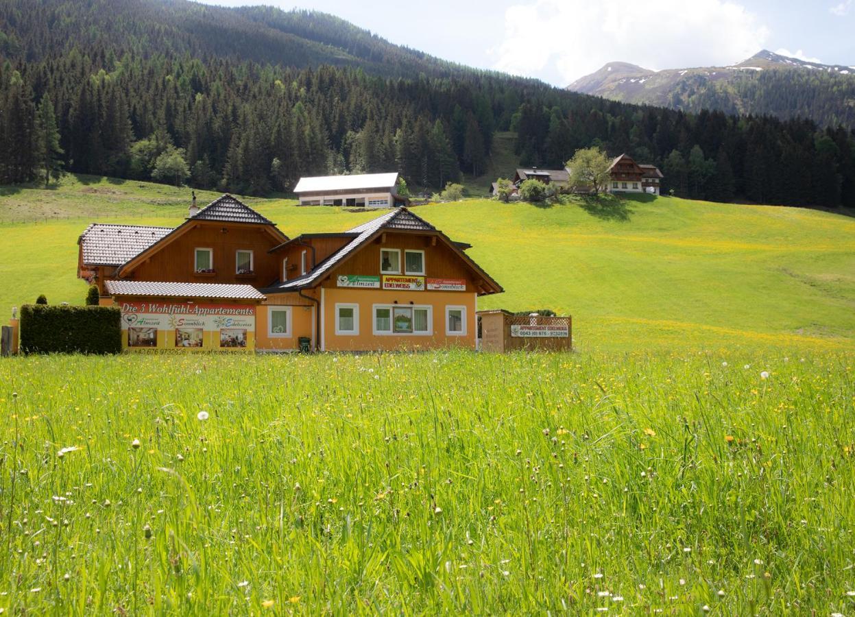 Appartement Edelweiss Mit Infrarotkabine Grosssolk Esterno foto