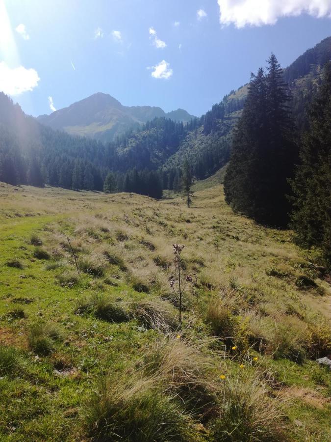Appartement Edelweiss Mit Infrarotkabine Grosssolk Esterno foto